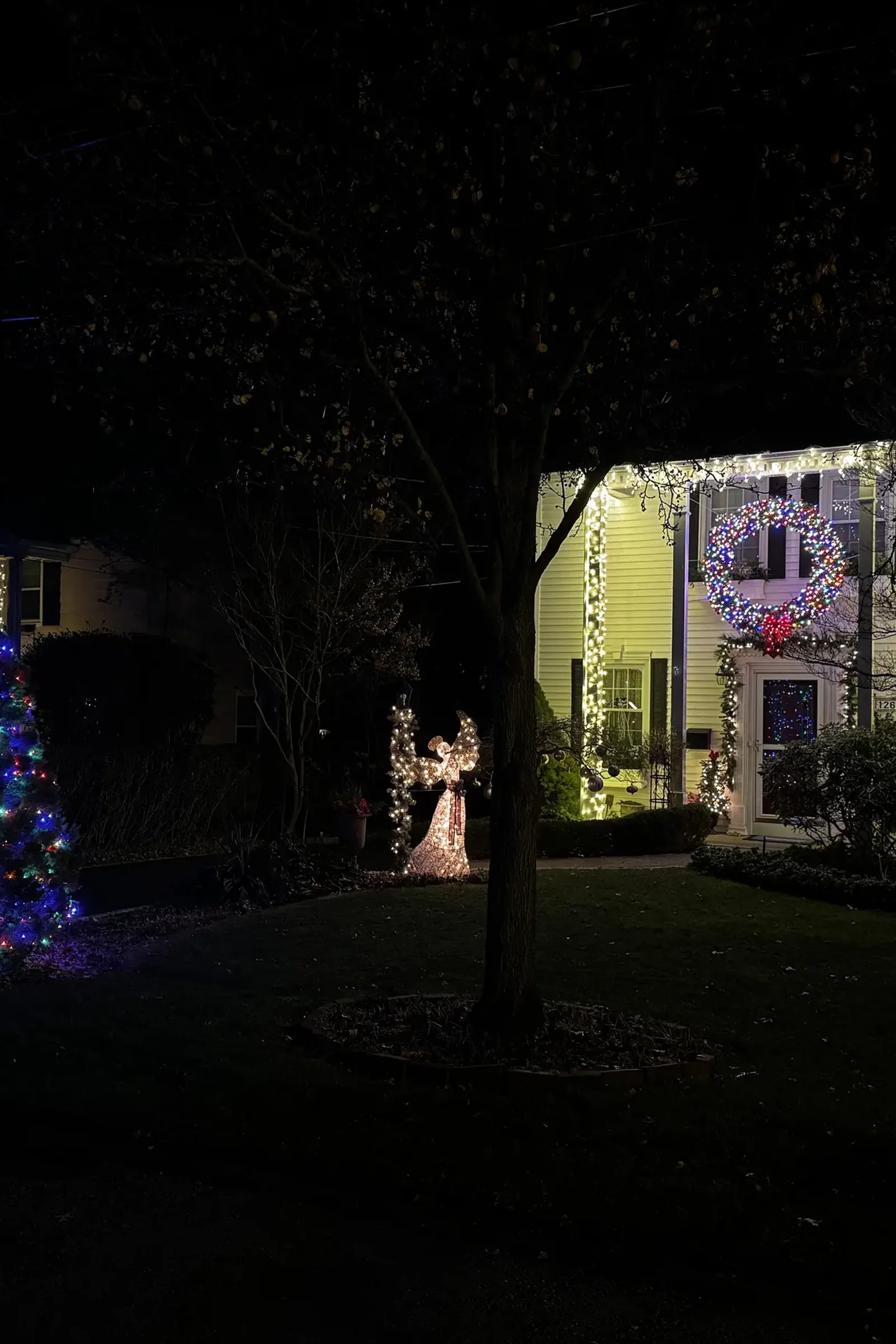 Front-yard evergreen wrapped in color holiday lighting at night