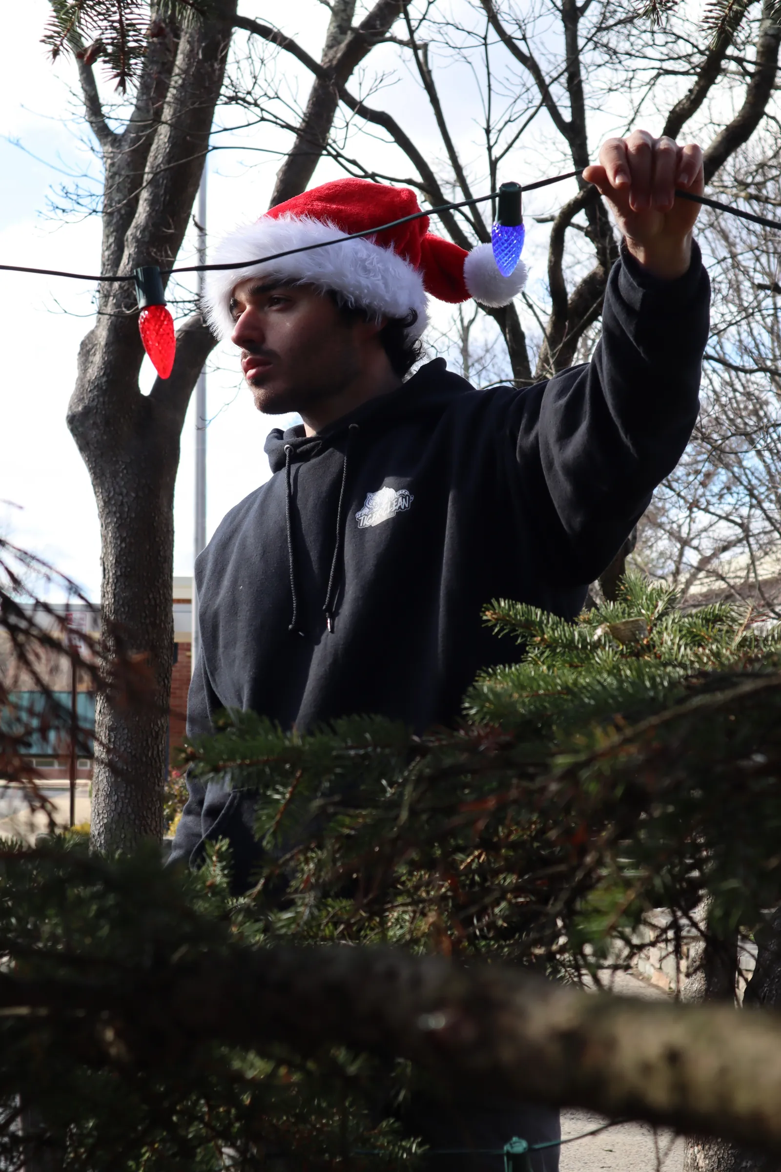 Technician clipping Christmas lights into a tree during installation